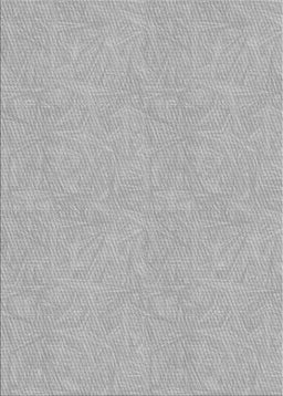 Patterned Gray Novelty Rug, pat1652