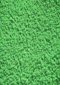 Machine Washable Transitional Neon Green Rug, wshpat1653grn