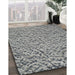 Machine Washable Transitional Silver Gray Rug in a Family Room, wshpat1653