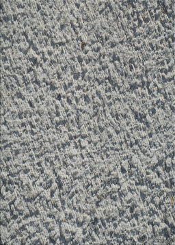 Patterned Silver Gray Novelty Rug, pat1653