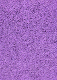 Machine Washable Transitional Purple Rug, wshpat1654pur