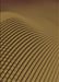 Machine Washable Transitional Dark Golden Brown Rug, wshpat1657org