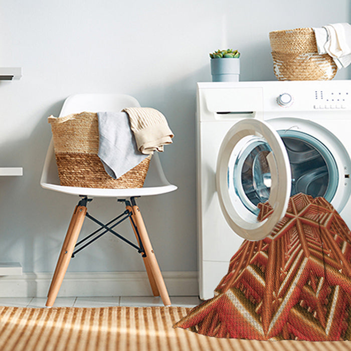 Machine Washable Transitional Red Rug in a Washing Machine, wshpat1658org