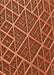 Patterned Orange Rug, pat1660org