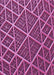 Patterned Crimson Purple Rug, pat1660pur