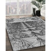 Machine Washable Transitional Silver Gray Rug in a Family Room, wshpat1661gry