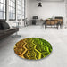 Round Patterned Pistachio Green Rug in a Office, pat1662yw