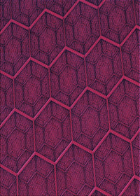 Machine Washable Transitional Dark Magenta Purple Rug, wshpat1663pur