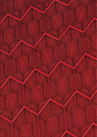 Machine Washable Transitional Tomato Red Rug, wshpat1663rd