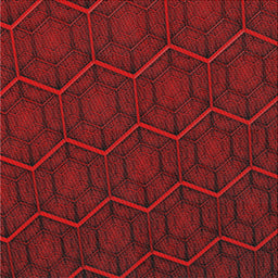 Sideview of Machine Washable Transitional Fire Brick Red Rug, wshpat1663