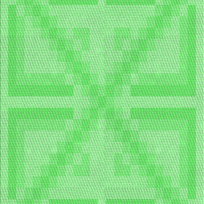 Machine Washable Transitional Neon Green Rug, wshpat1666grn