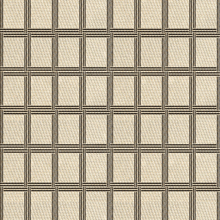 Machine Washable Transitional Wheat Beige Rug, wshpat1670brn