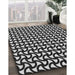 Patterned Silver Gray Novelty Rug in Family Room, pat1673