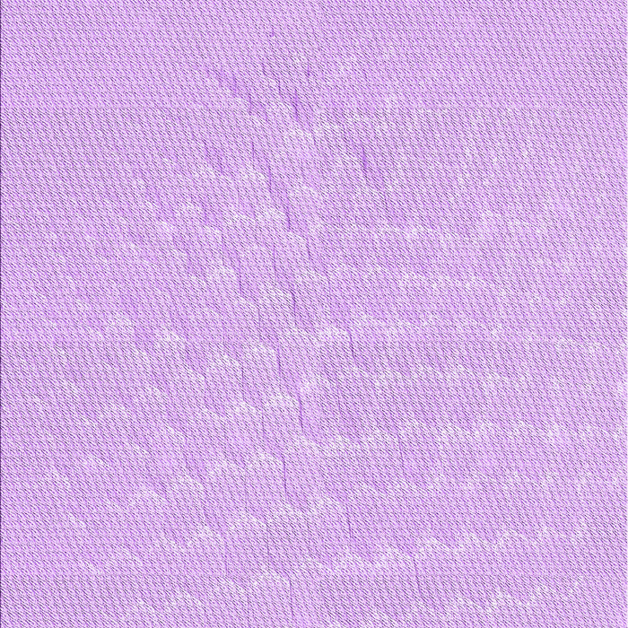 Machine Washable Transitional Purple Rug, wshpat1675pur