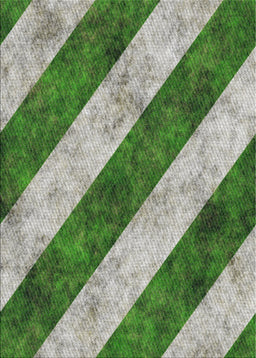 Machine Washable Transitional Shamrock Green Rug, wshpat1677