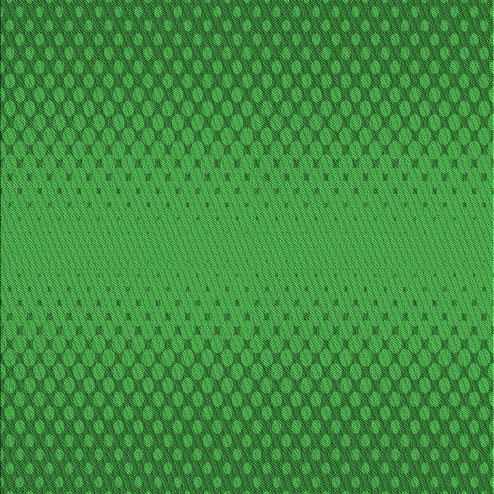Machine Washable Transitional Green Rug, wshpat1679grn