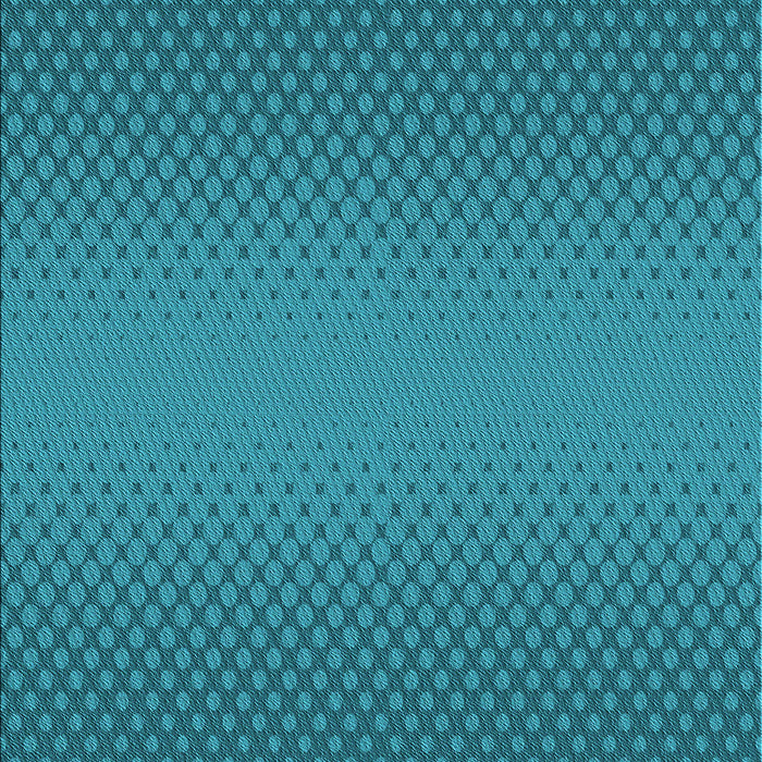 Patterned Dark Turquoise Green Rug, pat1679lblu