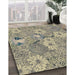 Patterned Khaki Gold Novelty Rug in Family Room, pat167