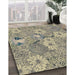 Machine Washable Transitional Khaki Gold Rug in a Family Room, wshpat167