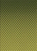 Machine Washable Transitional Dark Forest Green Rug, wshpat1682brn