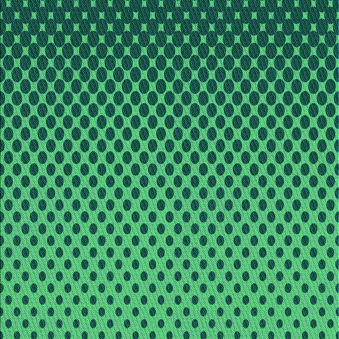 Machine Washable Transitional Spring Green Rug, wshpat1682lblu