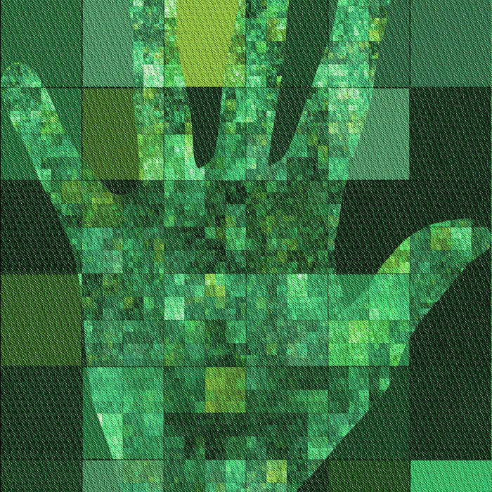 Machine Washable Transitional Deep Emerald Green Rug, wshpat1685grn