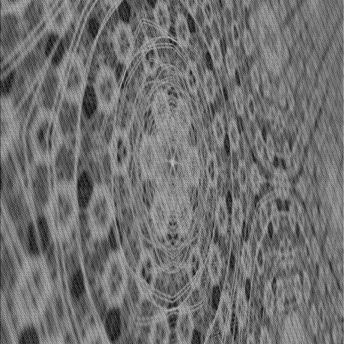 Machine Washable Transitional Gunmetal Gray Rug, wshpat169gry