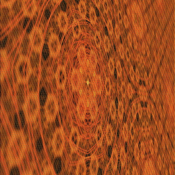 Patterned Orange Red Orange Rug, pat169yw