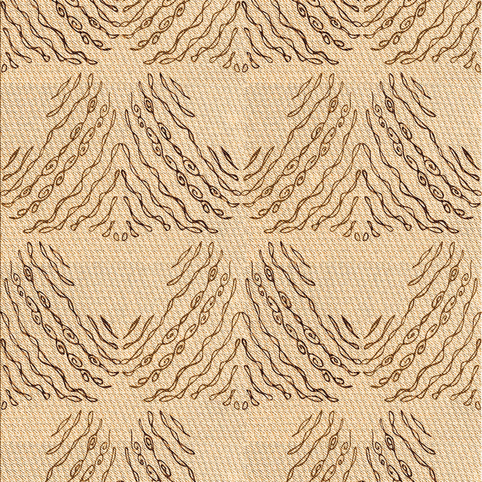 Machine Washable Transitional Khaki Gold Rug, wshpat1696org