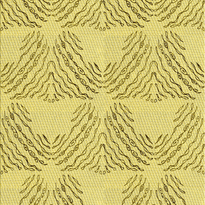 Machine Washable Transitional Caramel Brown Rug, wshpat1696yw