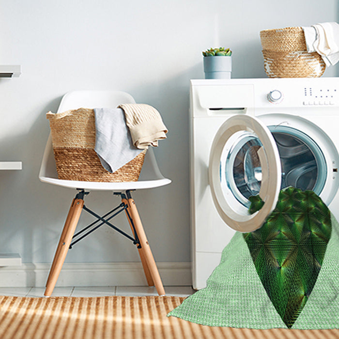 Machine Washable Transitional Green Rug in a Washing Machine, wshpat1698grn