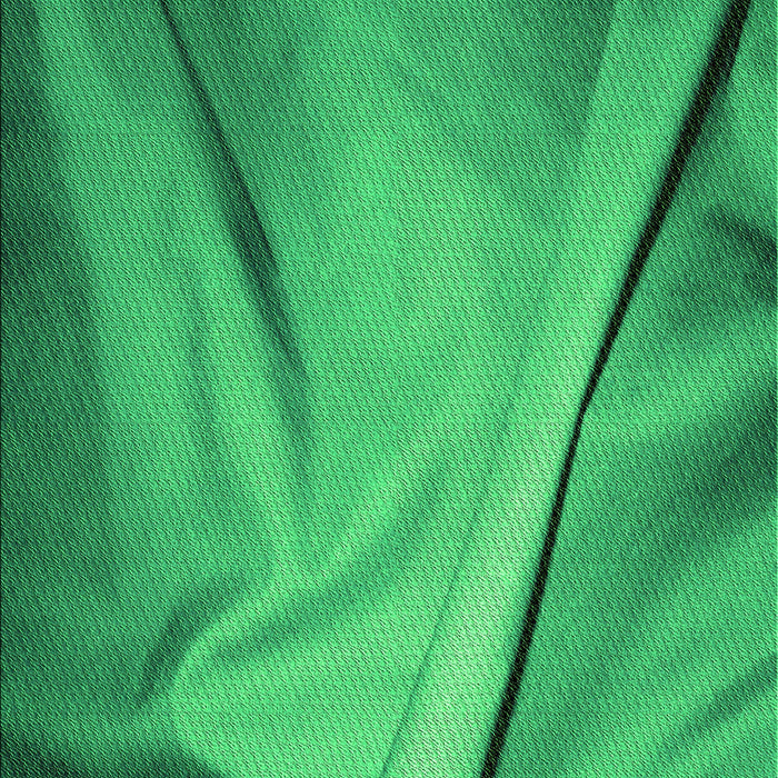 Machine Washable Transitional Neon Green Rug, wshpat170grn