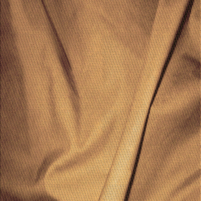 Machine Washable Transitional Orange Rug, wshpat170org