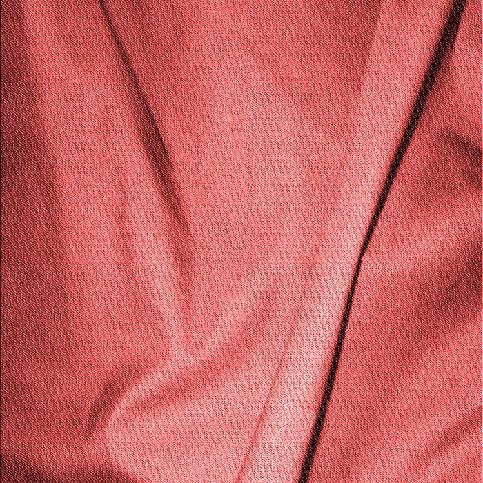 Machine Washable Transitional Red Rug, wshpat170rd