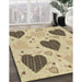 Machine Washable Transitional Copper Brown Rug in a Family Room, wshpat1700brn