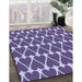 Machine Washable Transitional Purple Mimosa Purple Rug in a Family Room, wshpat1703blu