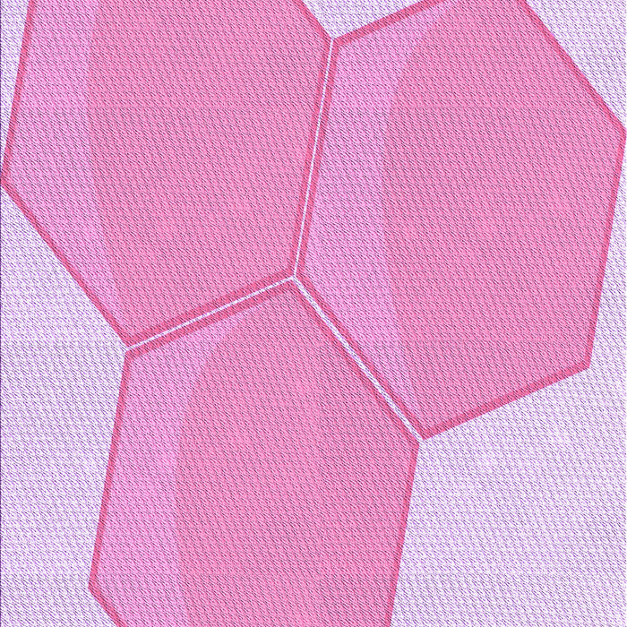 Machine Washable Transitional Blossom Pink Rug, wshpat1708pur