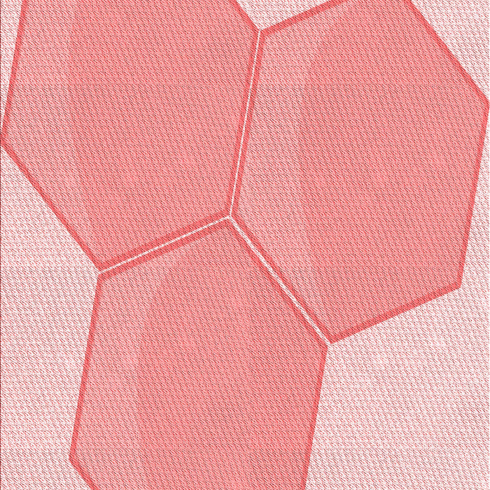 Patterned Red Rug, pat1708rd