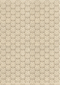 Machine Washable Transitional Moccasin Beige Rug, wshpat1709brn