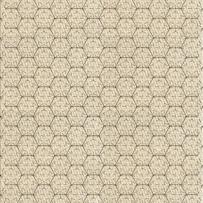 Machine Washable Transitional Moccasin Beige Rug, wshpat1709brn