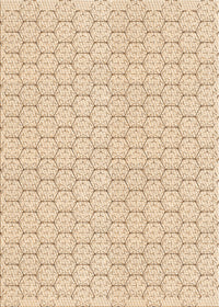 Machine Washable Transitional Peru Brown Rug, wshpat1709org