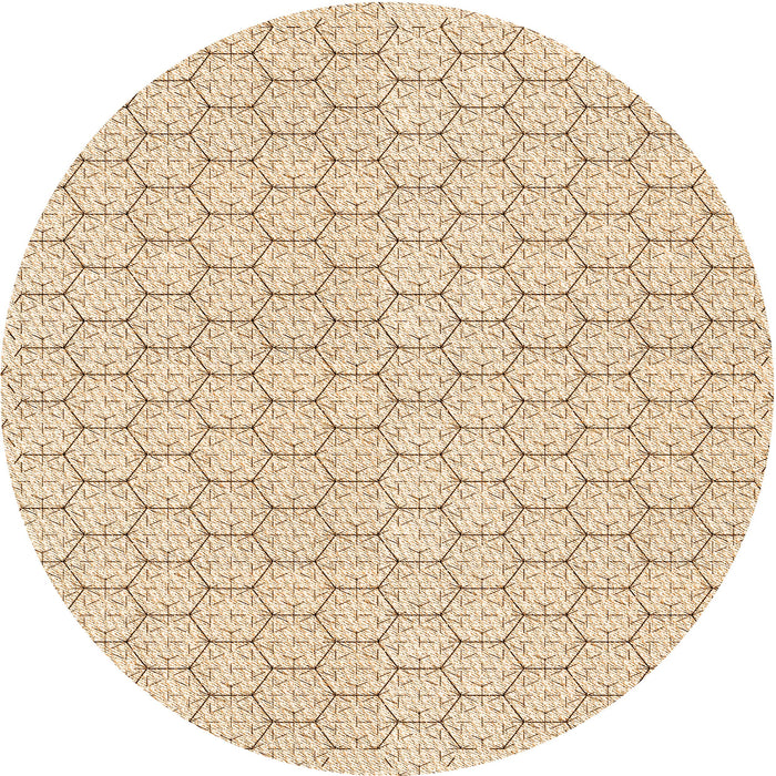 Square Machine Washable Transitional Peru Brown Rug in a Living Room, wshpat1709org