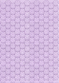 Machine Washable Transitional Orchid Purple Rug, wshpat1709pur