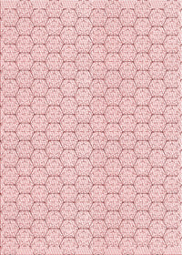 Machine Washable Transitional Pink Rug, wshpat1709rd