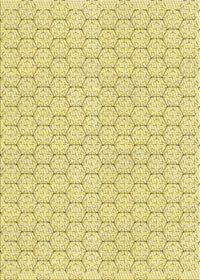 Machine Washable Transitional Sun Yellow Rug, wshpat1709yw