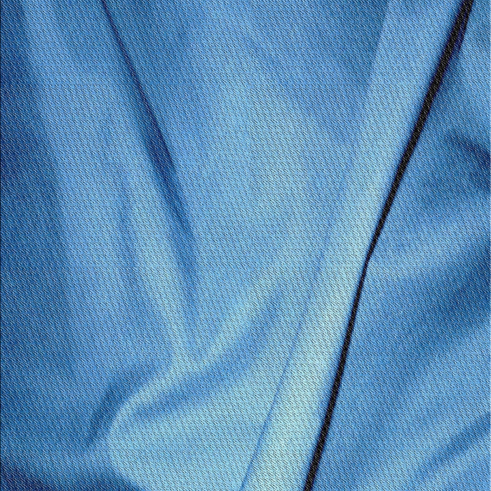 Patterned Blue Novelty Rug, pat170