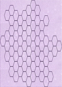 Machine Washable Transitional Bright Lilac Purple Rug, wshpat1710pur