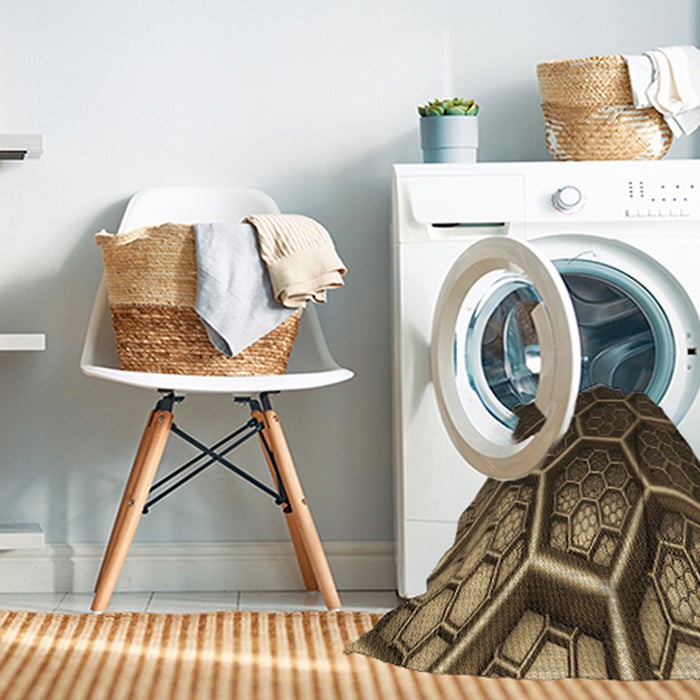 Machine Washable Transitional Light Brown Rug in a Washing Machine, wshpat1711brn
