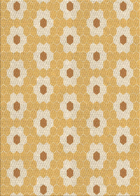 Machine Washable Transitional Yellow Rug, wshpat1714brn