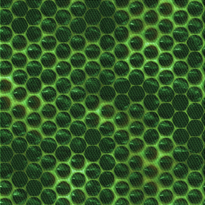 Round Machine Washable Transitional Dark Lime Green Rug, wshpat1716grn